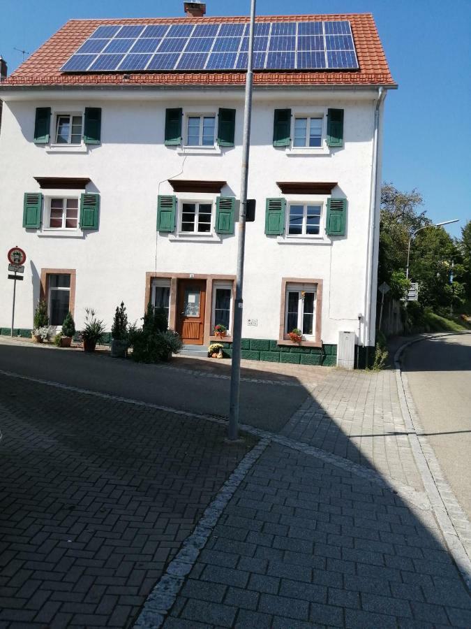 Апартаменти Sonnenschein Wehr Wehr  Екстер'єр фото